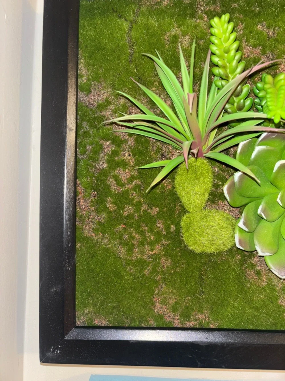 Framed Green Succulent Moss Wall Art - Decorative Plant Plaque